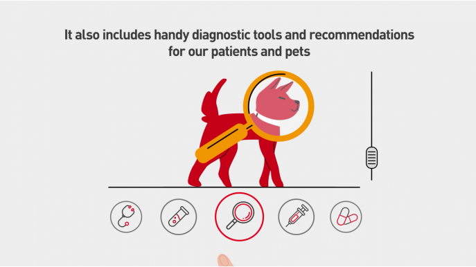 Royal Canin: Digital Vet Academy